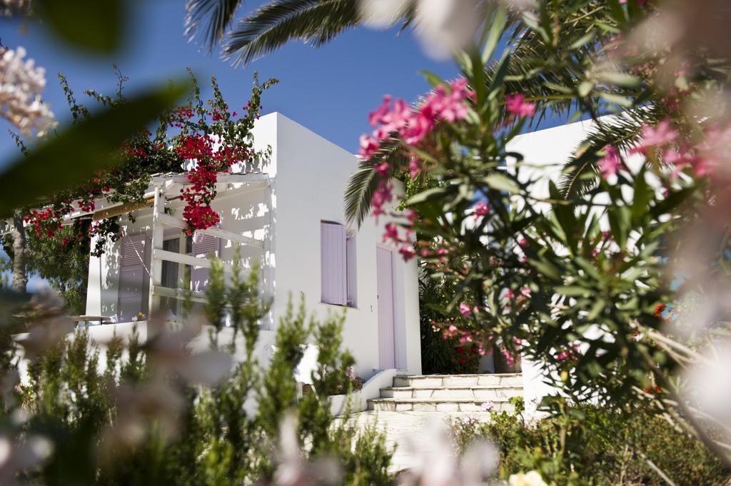 Kostantakis Winery Estate Guest House Pollonia Ruang foto