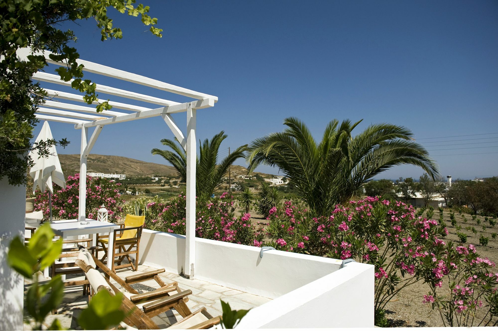 Kostantakis Winery Estate Guest House Pollonia Bagian luar foto